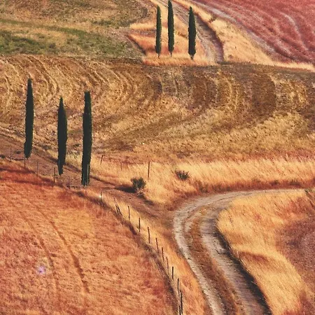 Via Leopoldo Pellas Daire *